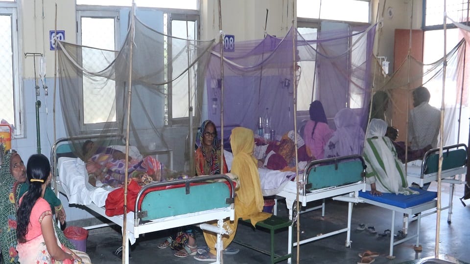 Dengue outbreak continues