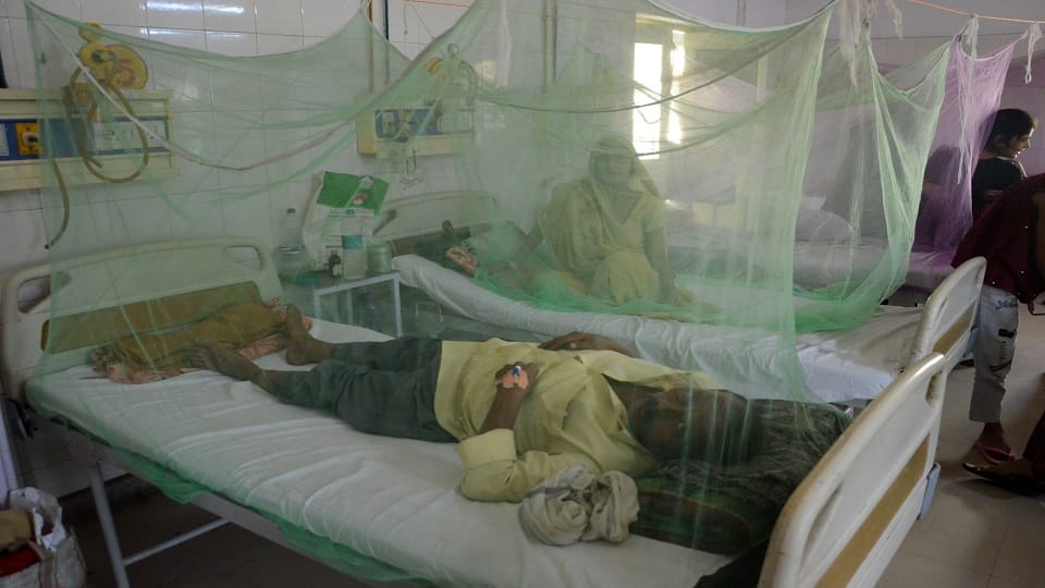 Dengue breaks record two more suspects dies in Bareilly