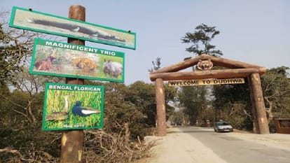 Visits Chuka beach, Dudhwa and many other Tourist Places near Bareilly on New Year 2024