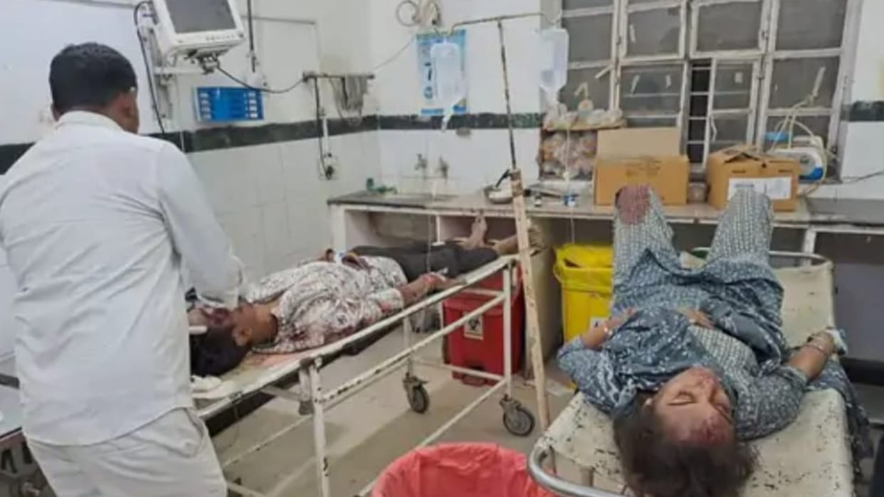 2 killed in car collision with cattle in pali