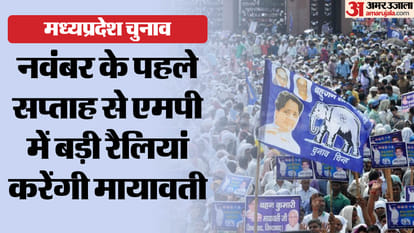 MP Election: status of BSP in MP will decide the scale of political balance between Congress and SP in UP