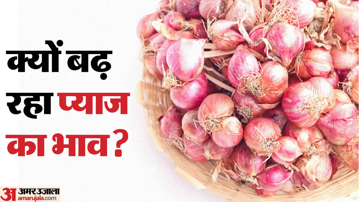 Onion prices up by more than 50% in 15 days, expected to rise till December: Report