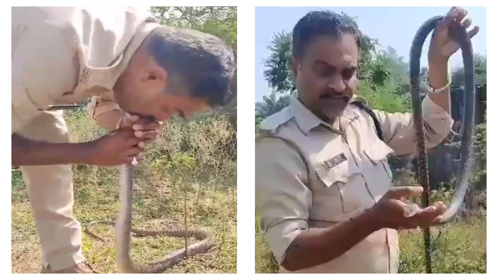 सांप को CPR देता पुलिसकर्मी