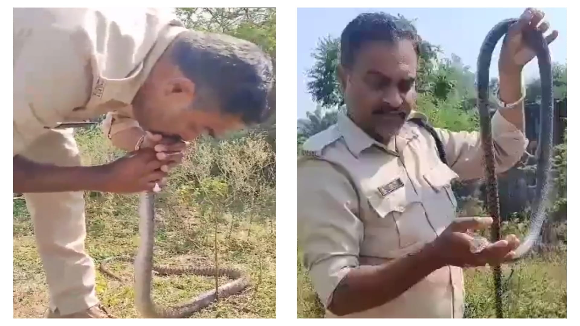 सांप को CPR देता पुलिसकर्मी