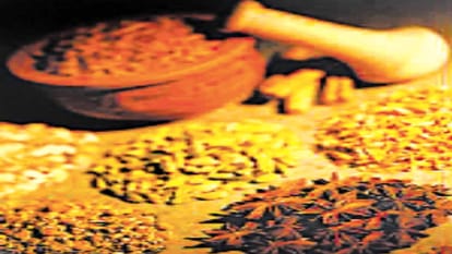 शोध में खुलासा: मुंह के कैंसर की रोकथाम में तुलसी, एलोवेरा, हल्दी, त्रिफला मददगार Research reveals: Tulsi, aloe vera, turmeric, triphala are helpful in preventing mouth cancer.