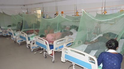 Dengue outbreak is Bareilly 27 suspected patients died so far