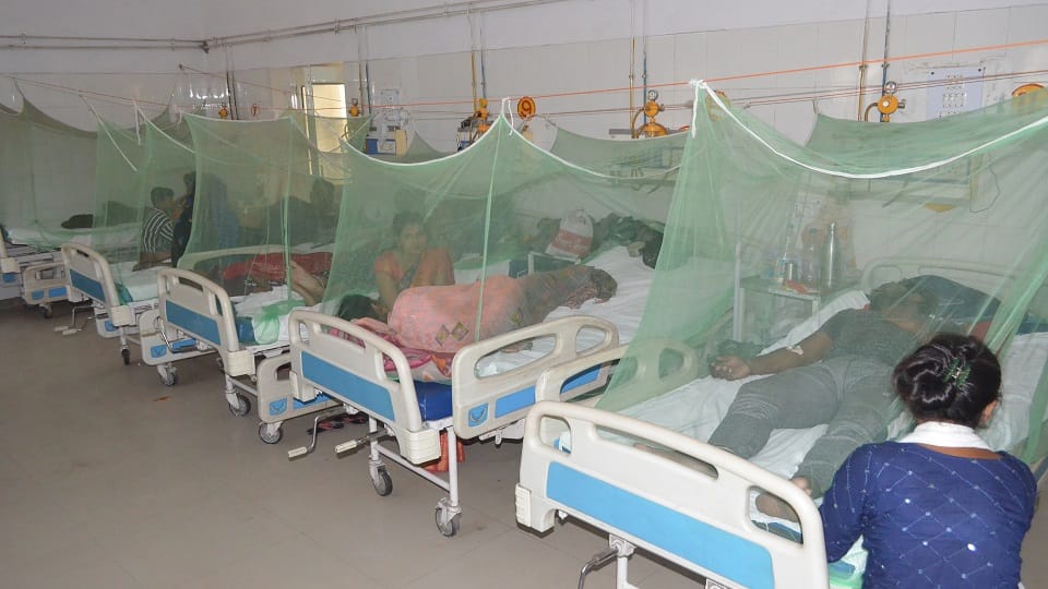 Dengue outbreak is Bareilly 27 suspected patients died so far