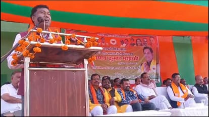 CG election 2023 At some places BJP and at other places Congress stalwarts filed nominations in chhattishgrh