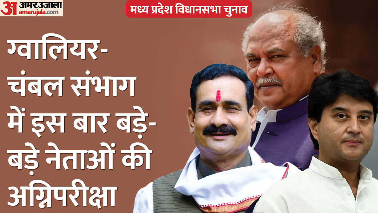 MP Election: Seats from Chambal to Gwalior will decide the future of MP politics