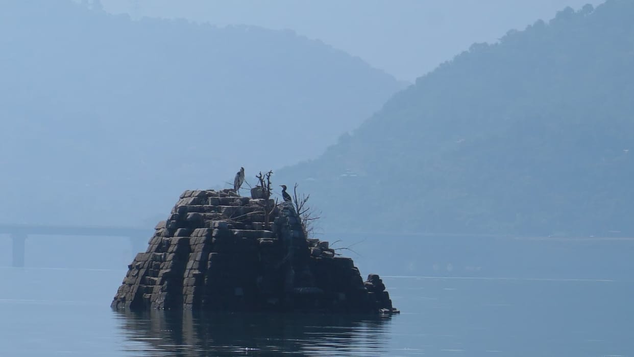 Himachal Pradesh News:  Submerged Temples of Old Bilaspur emerge from Gobind Sagar