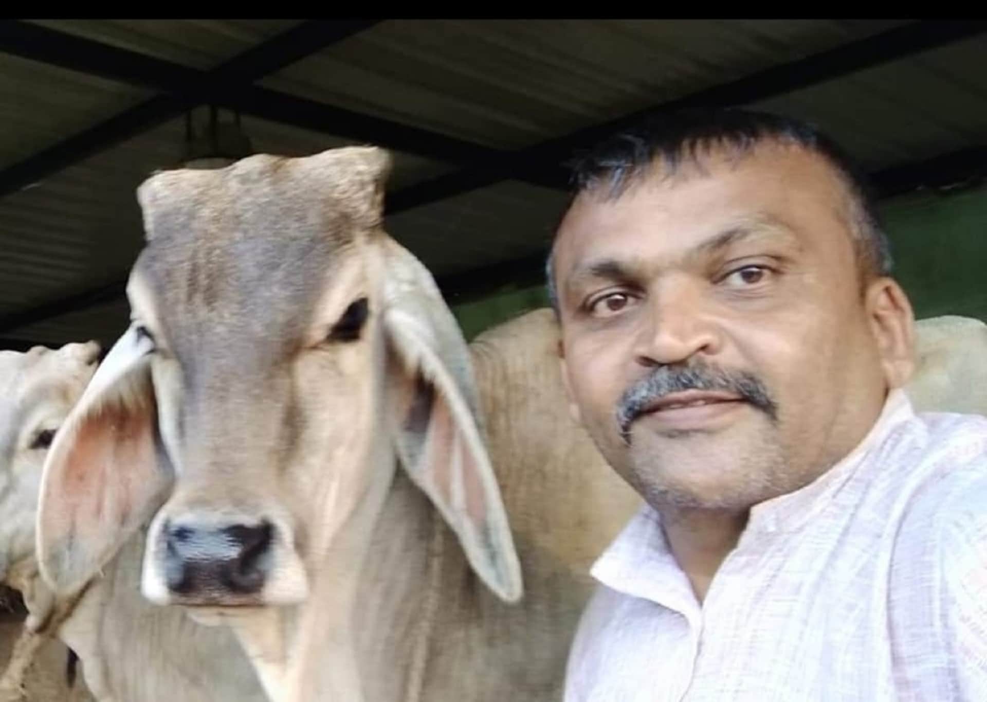 Cow Dung: Money can be made from cow dung, the problem of stray animals will end