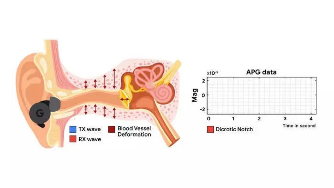 measure heart rate with ANC earbuds