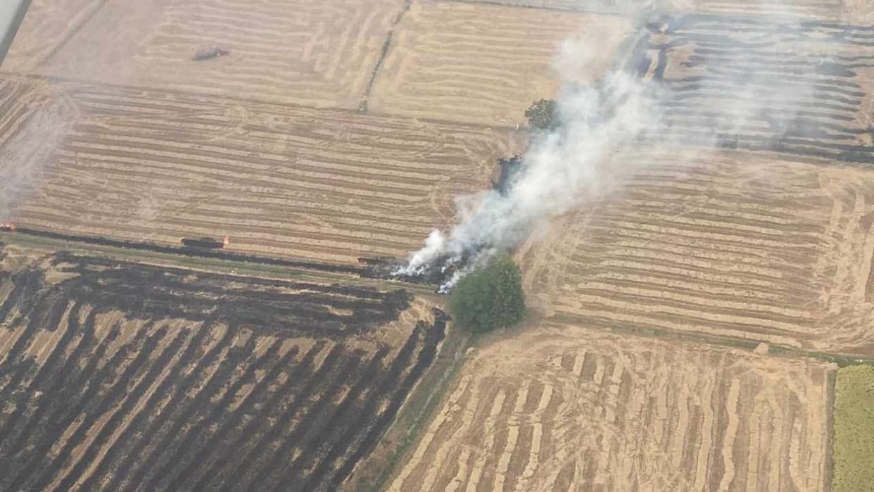 Stubble burnt at 740 places in Punjab on Sunday