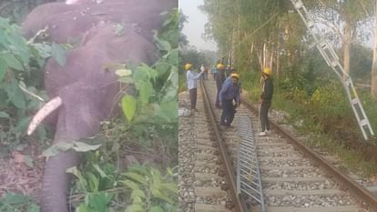 Elephant dies after being hit by train reaching Kotdwar from Delhi Anand Vihar Terminal Najibabad Uttarakhand