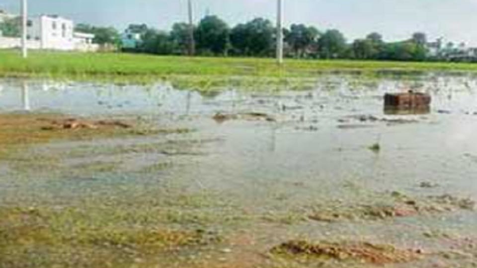 Dirty water flowing on playground in rudrapur