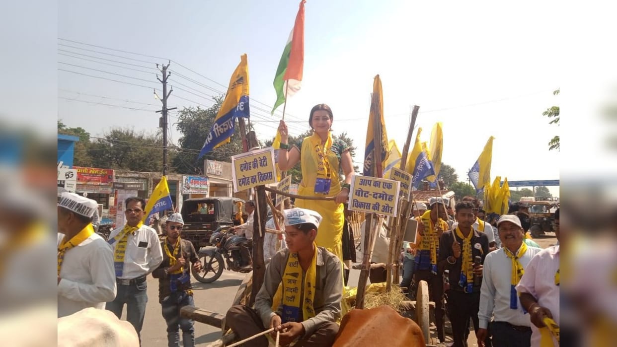 MP Election: AAP candidate Chahat Mani arrived in bullock cart to file nomination in Damoh; MP BJP MP Congress