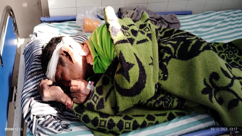 Tiger attacks laborer doing road construction work in