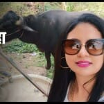 मुहम्मद शमी की पत्नी हसीन जहां