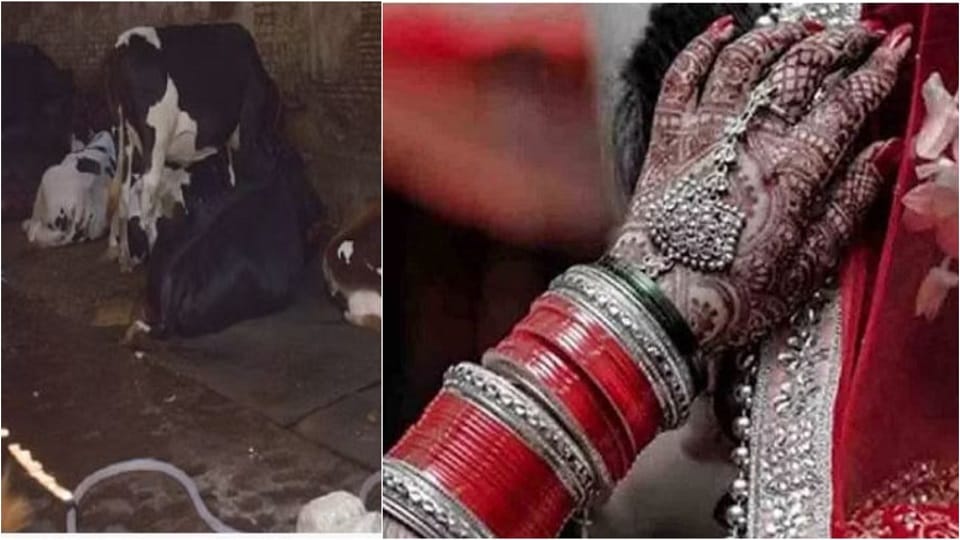 Newly married woman had to spend 10 nights in animal enclosure know reason