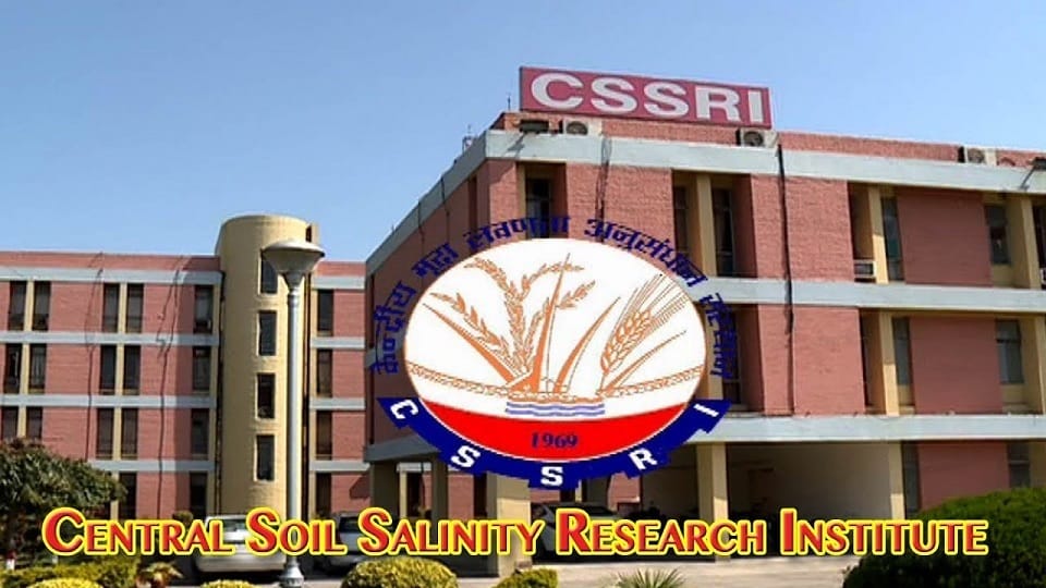 Sulfur will improve health of alkaline soil in Haryana, CSSRI Karnal prepared technology