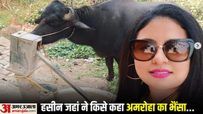 मुहम्मद शमी की पत्नी हसीन जहां