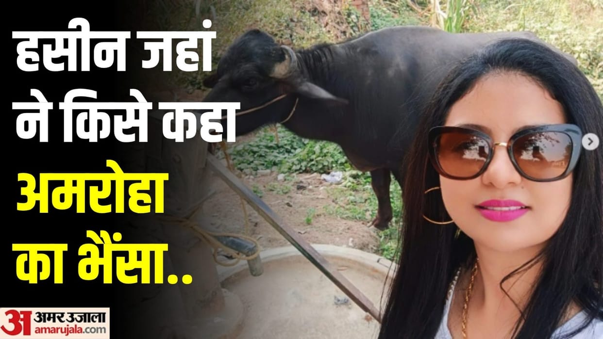 Mohammed Shami wife Haseen Jahan Instagram post goes viral Amroha buffalo