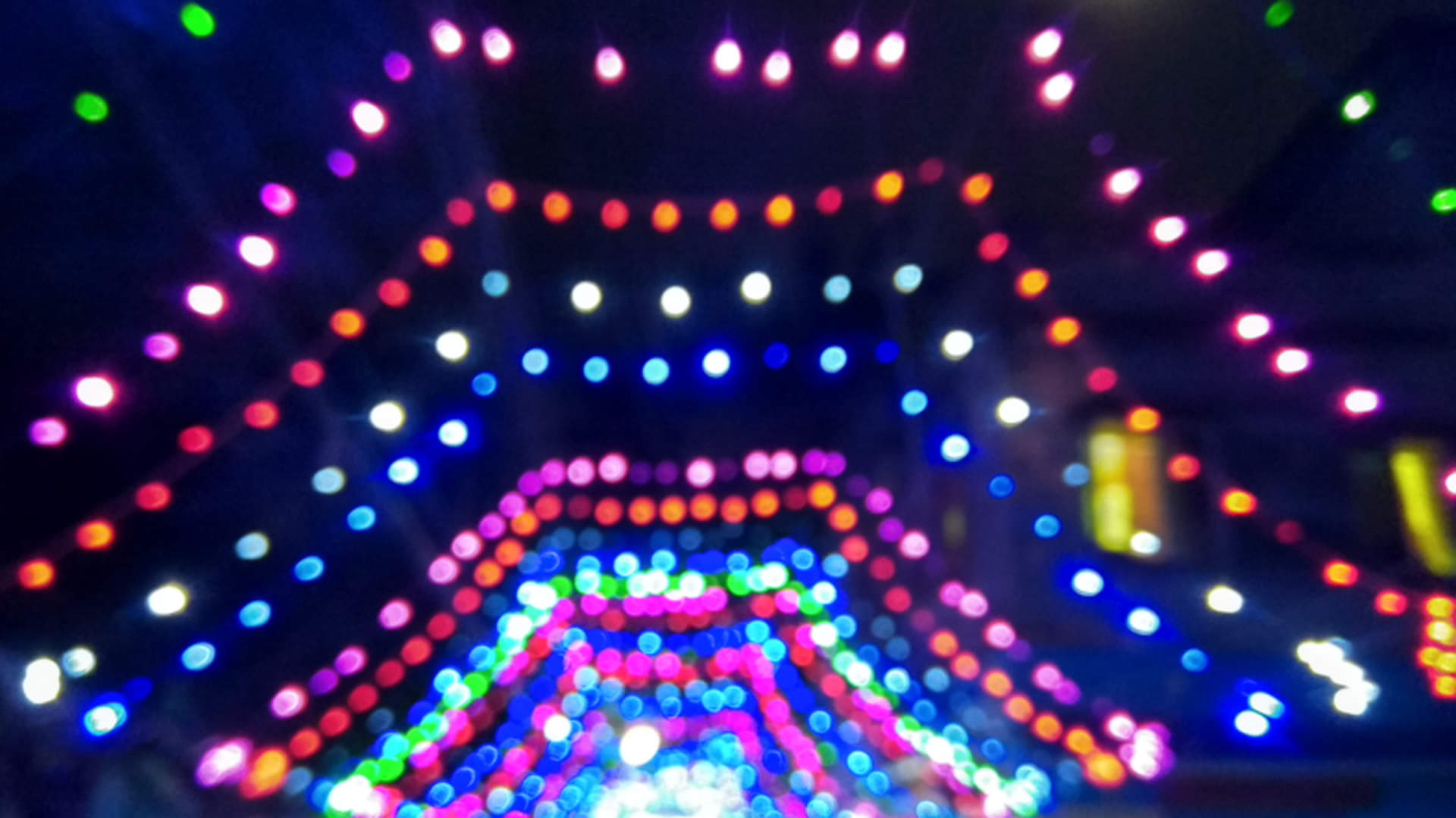 Diwali Business Ideas 2023: How To Start Decorative Lights Business