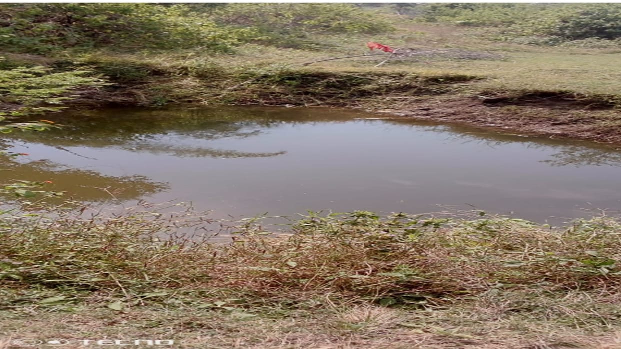 17 year old teenager dies due to drowning in a well in Shahdol