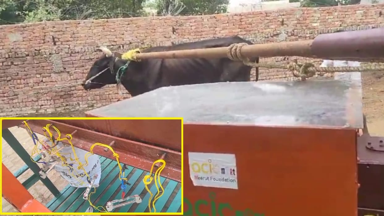 Meerut: Now electricity will generated in cowsheds with power of bulls and read special report