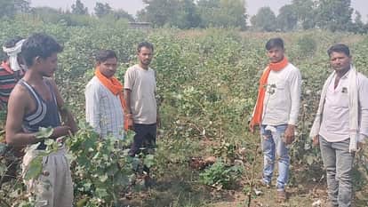 Barwani News: Leopards hunted the goats kept in the enclosure, the villagers chased them away.