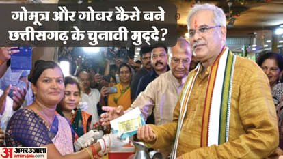 Chhattisgarh Election 2023 How Congress took over the issues of cow and Ram from BJP in state