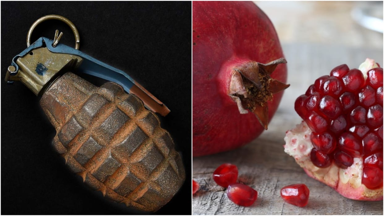 Wanted to drink pomegranate juice, ordered it through online translation portugal police