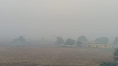 Haryana News:सात शहरों का एक्यूआई 400 पार, हरियाणा जहरीली हवा की चपेट में, स्कूल बंद करने की सिफारिश – Air Quality Index Of Seven Cities Of Haryana Crosses 400 Marks