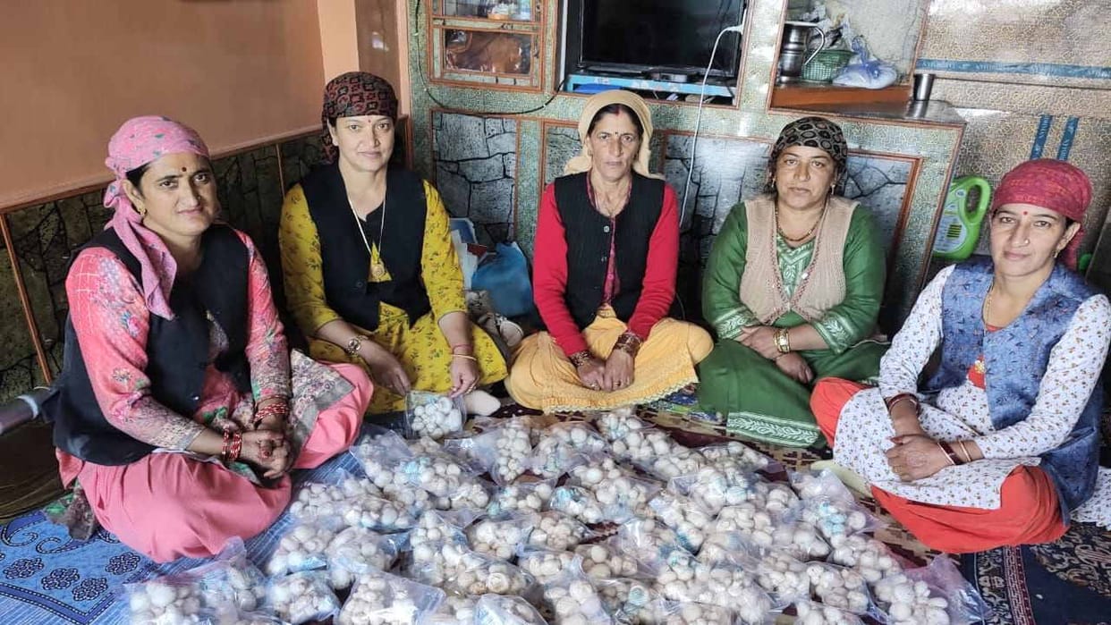 Women are earning lakhs by cultivating mushrooms from JICA project.