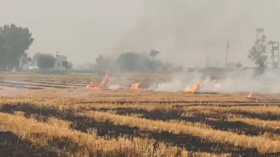 Delhi Police arrested a farmer in Chhawla for burning stubble