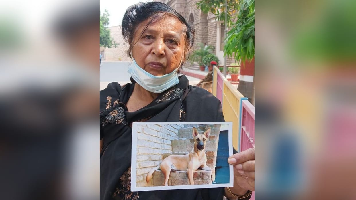 Elderly woman appealed...Government to find the dog missing for a year