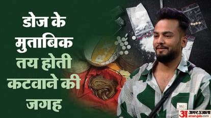 UP: नशे को अगले पायदान पर ले जाने की चाहत, दवा के लिए इस्तेमाल होने वाला जहर बना नशे का जरिया; रेव पार्टी... Elvish Yadav news desire to take drug addiction to the next level among youth and teenagers