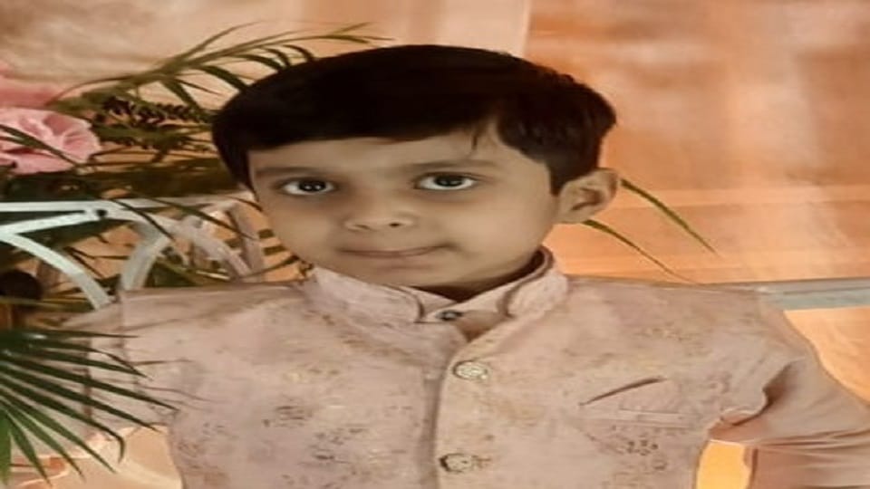 Death in road accident before Ahoi Ashtami