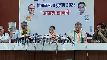 MP Election: कैलाश के बाद मालिनी गौड़ ने कहा मैंने भाजपा से टिकट नहीं मांगा था, पार्टी ने खुद दिया MP Election 2023 malini gaud kailash vijaywargiya piyush joshi raja mandhwani