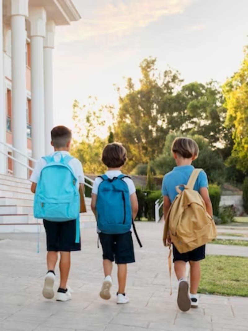 Madhya Pradesh Education Department made changes in winter vacations