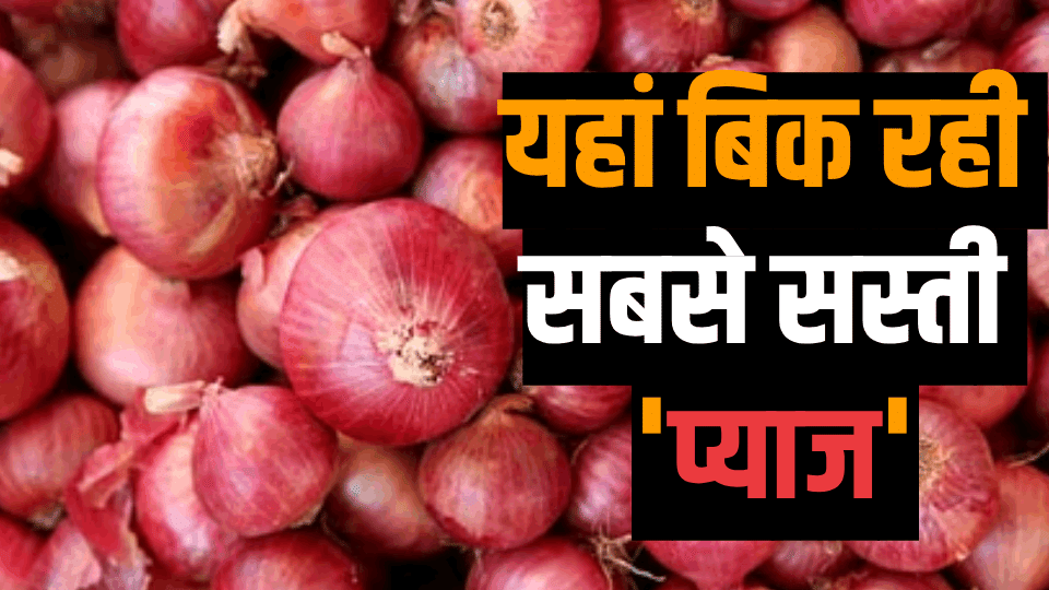 Onion will be available for 25 rs per kg at Mother Dairy outlets in Delhi NCR