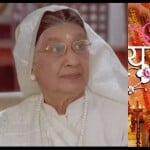 अपर्णा काणेकर का निधन