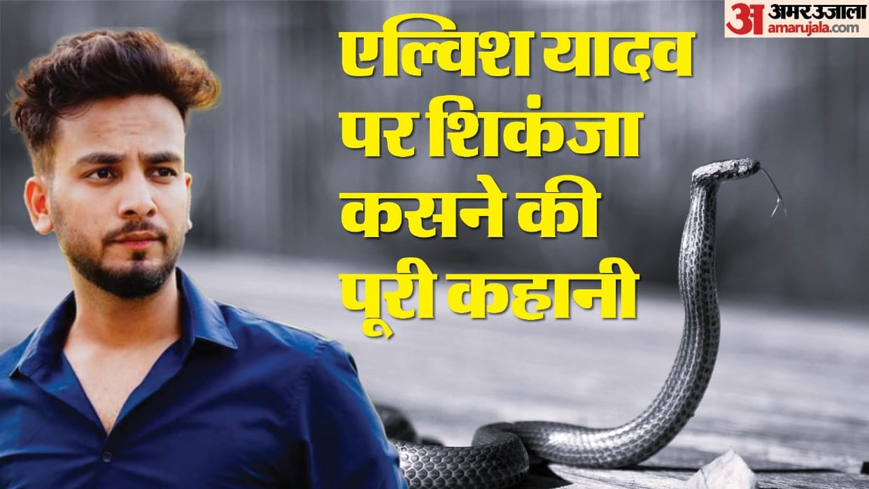 Elvish Yadav Screenplay written in Gurugram monitoring from Delhi and operation in Noida