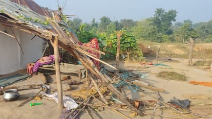 Villagers frightened by elephant terror demolished houses killed animals in Korba