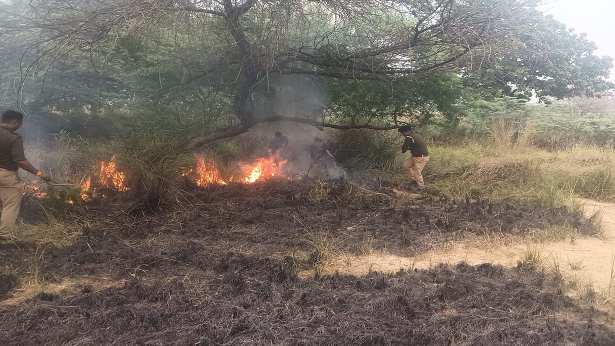 A massive fire broke out in the forest of Jethwara, police brought the fire under control with the help of vi