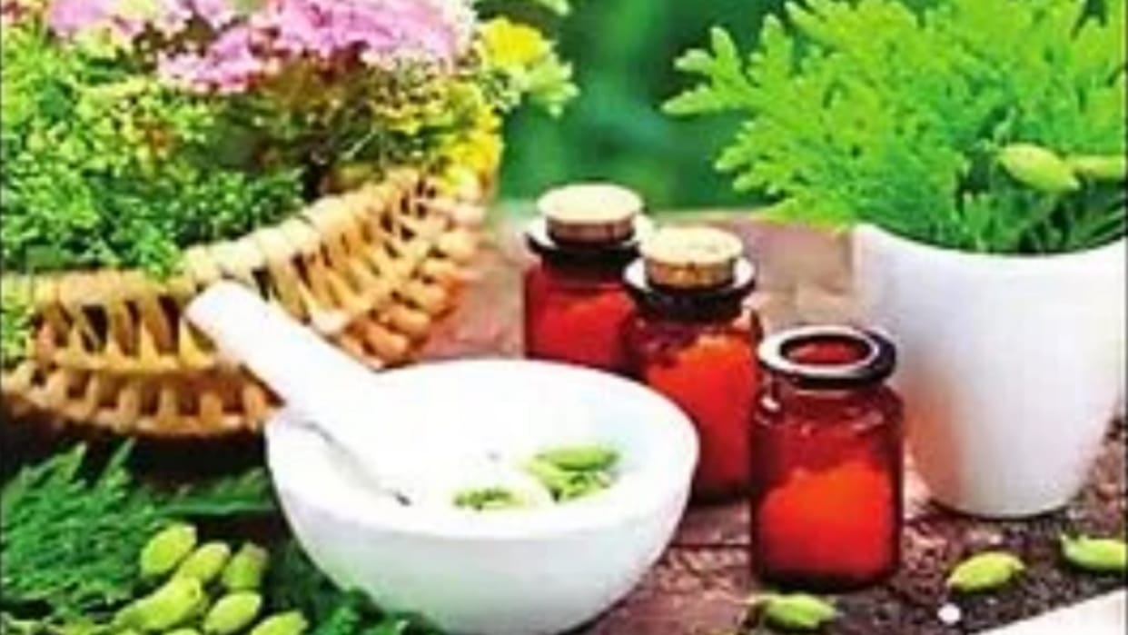 Yoga and naturopathy will provide jobs in Uttar Pradesh.