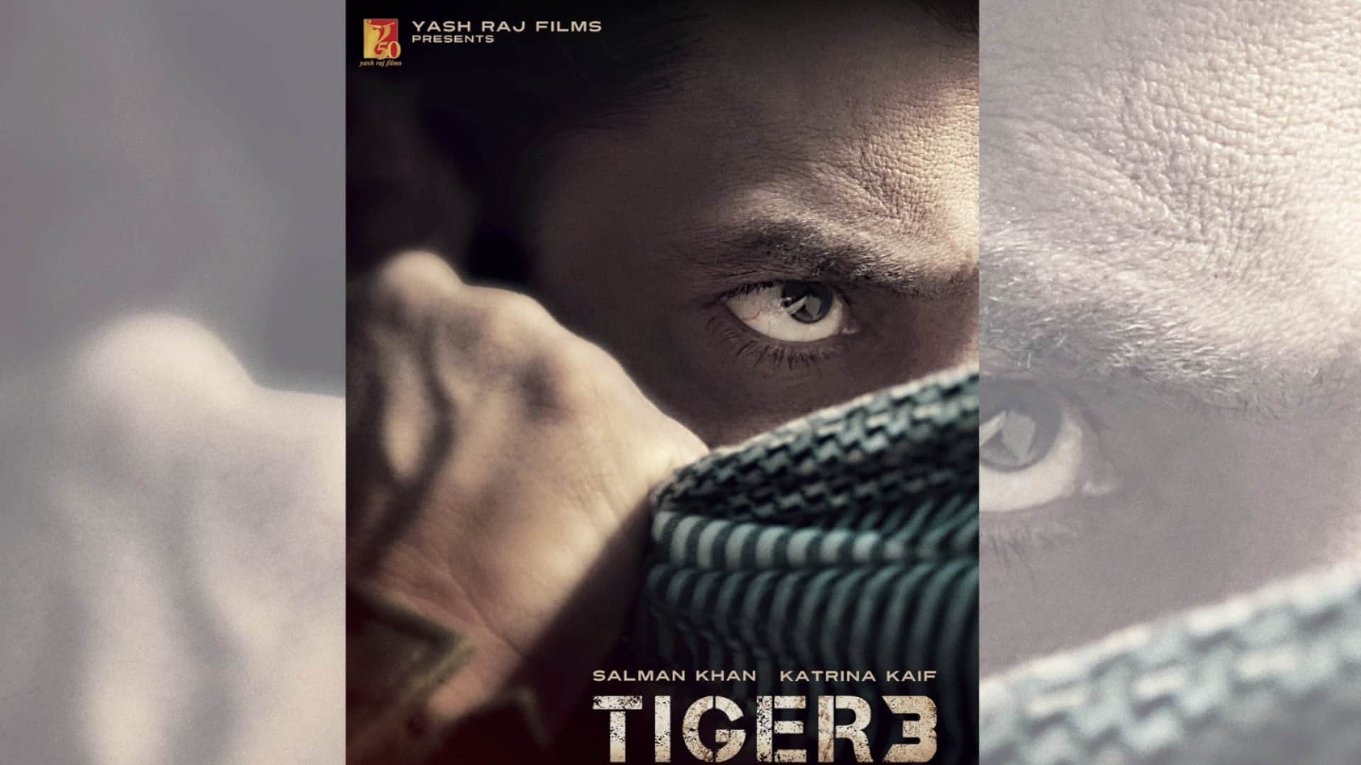 Tiger 3 Advance Booking: salman khan katrina kaif Emraan Hashmi film ticket sold in delhi ncr mumbai Hyderabad