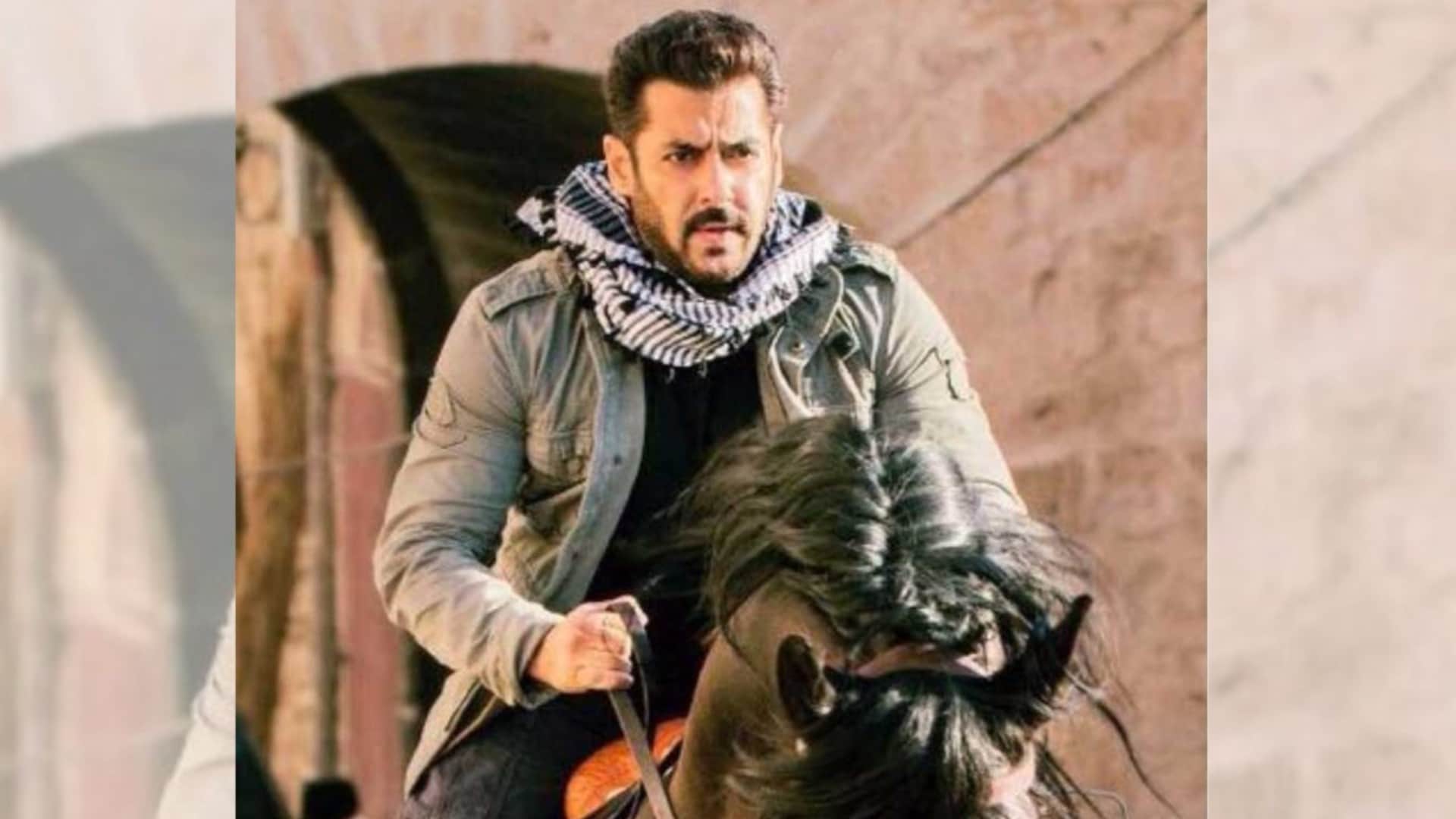 ind vs aus wc 2023 final Salman Khan addresses World Cup clashing with Tiger 3 on Sunday