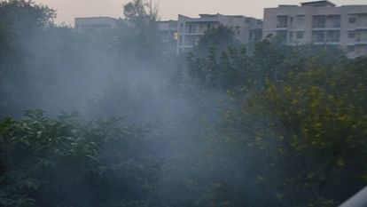 Agra: प्रदूषण से उड़ी चेहरे की रंगत, आंखों में जलन बढ़ी; मेडिकल कॉलेज व जिला अस्पताल में लगी मरीजों की कतार Eye irritation increased due to pollution in Agra patients queued up in hospital