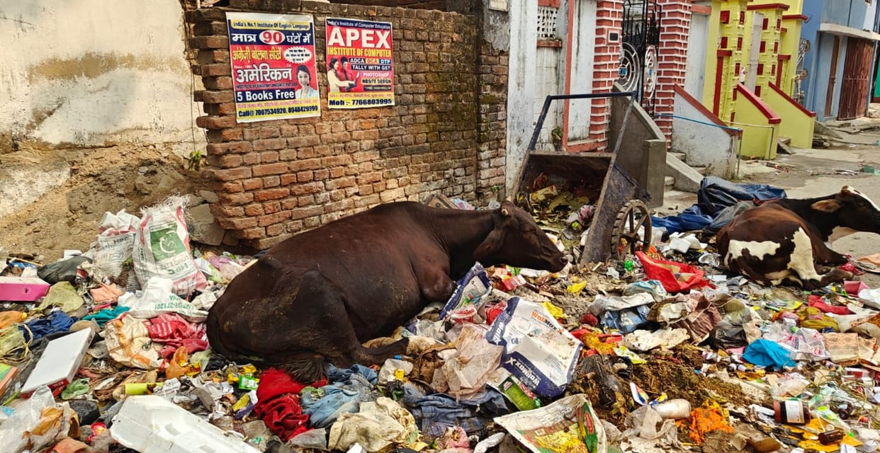 bihar gaya cleaners on strike after parshad beaten supervisor filth seen in city